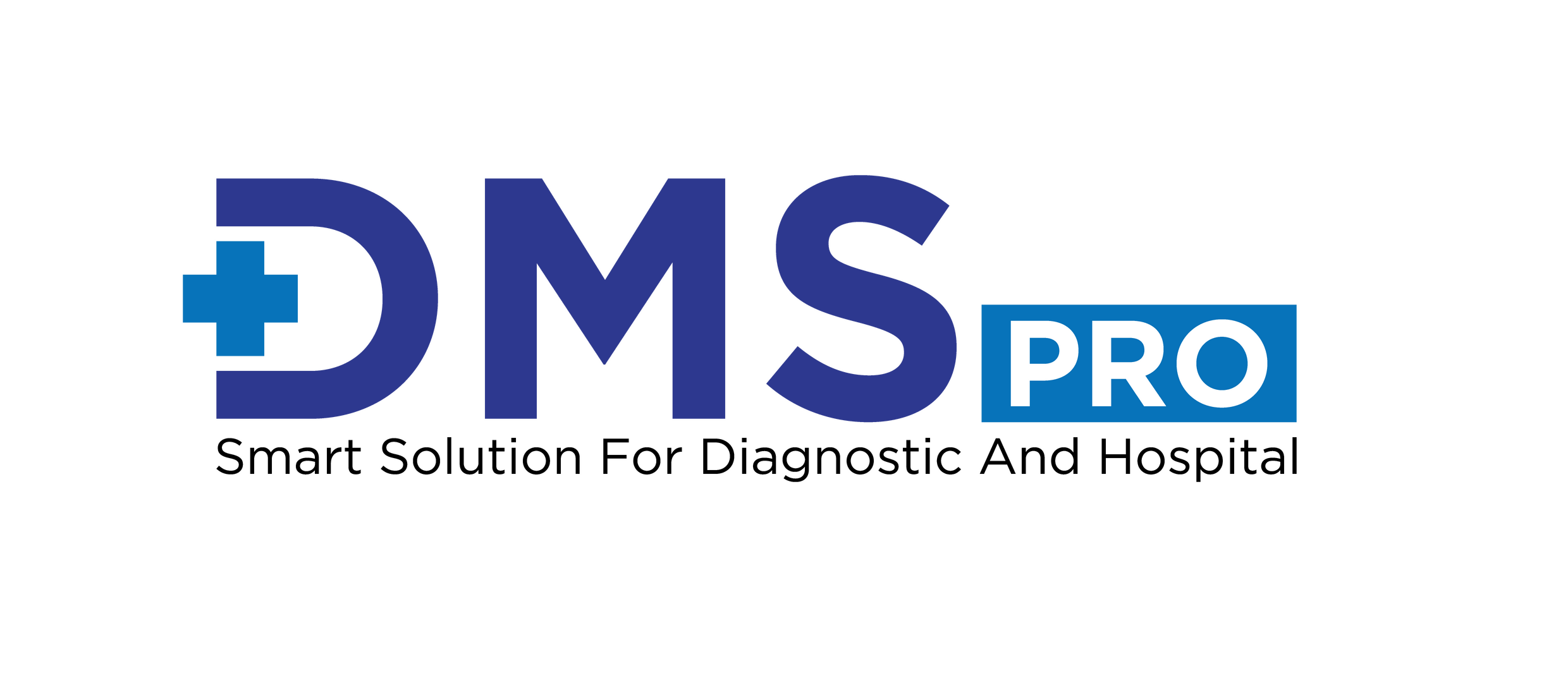 DMS PRO Software Logo
